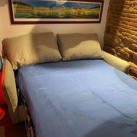 Petit Appartement Cosy Toulouse Dış mekan fotoğraf