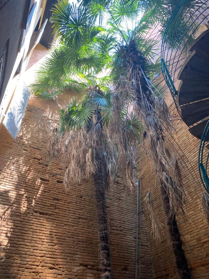 Petit Appartement Cosy Toulouse Dış mekan fotoğraf